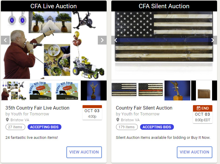 View Auctions